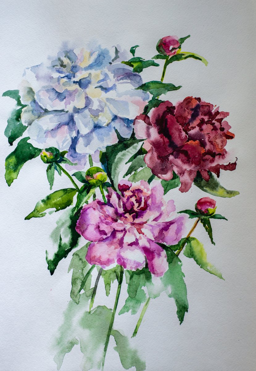 Impressionistic Botanical Watercolour By Galyna Shevchencko, 12 X 17, Peonies, Original Artwork