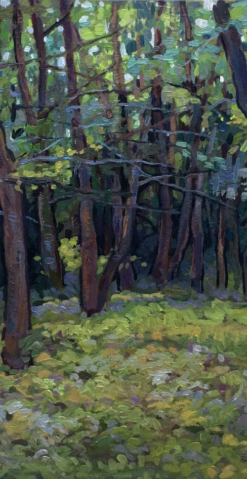 Forest by Raffi Ghazaryan
