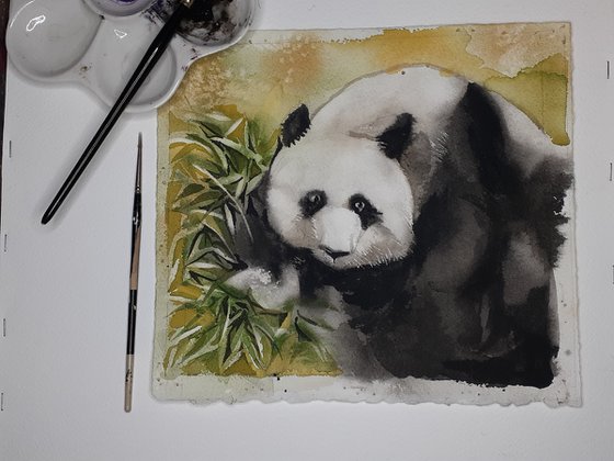 baby panda