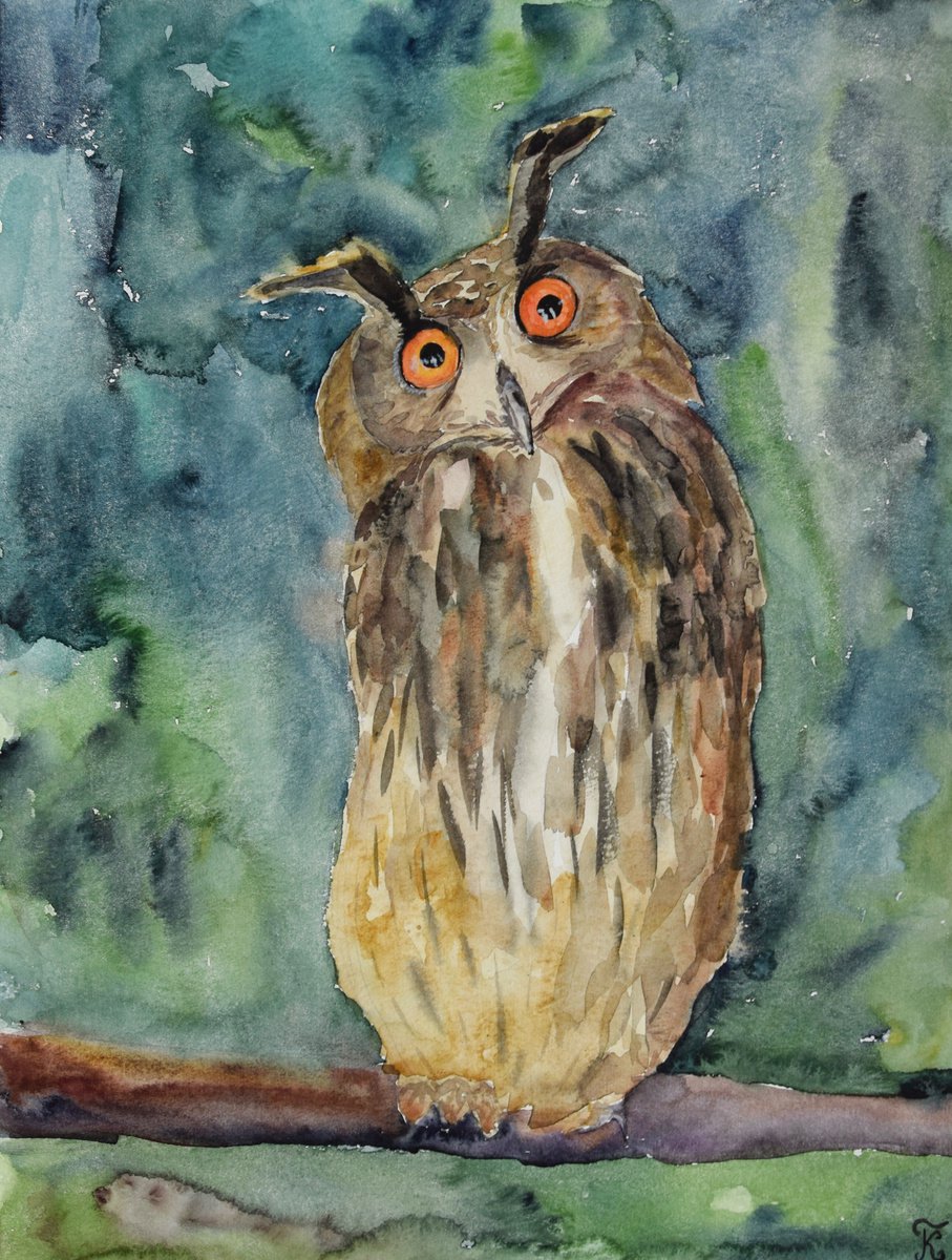 Owl watercolor painting, bird original artwork, nursery wall art by Kate Grishakova