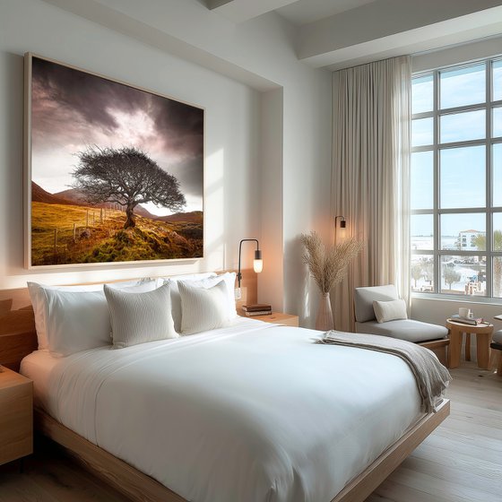 The One Tree, Isle of Skye