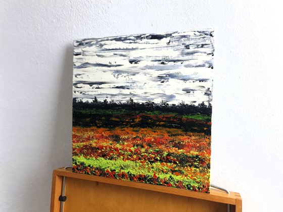 Meadow after rain 2