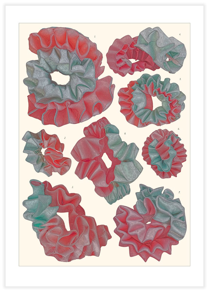 Illustrative Abstract Giclee Print By Vanda Berecz, 16 X 23", Morchella Fucata, Original Artwork