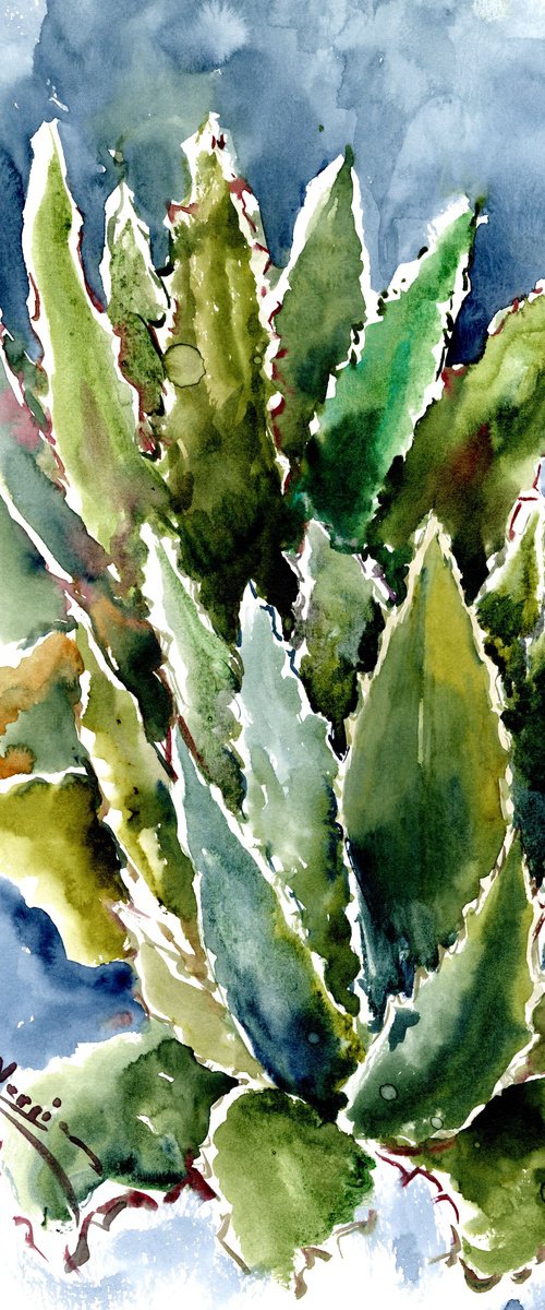 Agave by Suren Nersisyan