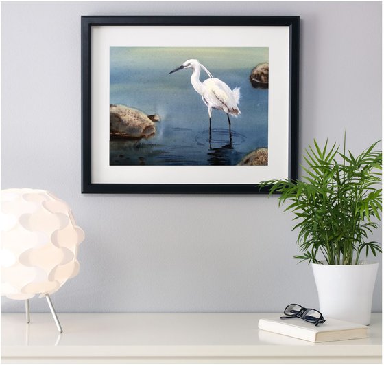 Great White Egret  - egret bird – wildlife nature lake  stones