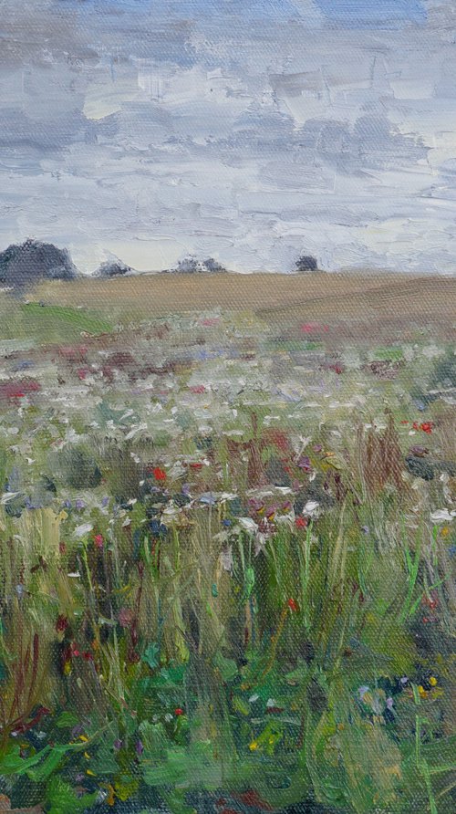 Summer Flowers, the Cotswolds by Alex James Long