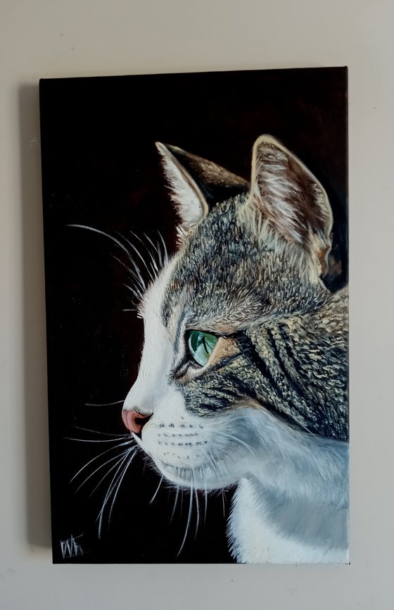 Portrait of a Gray Cat