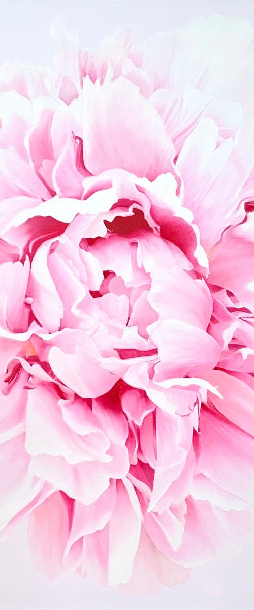 Ethereal II. Macro Peony by Alla Kallass