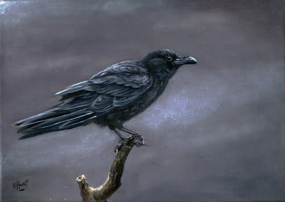 Raven by Una Hurst