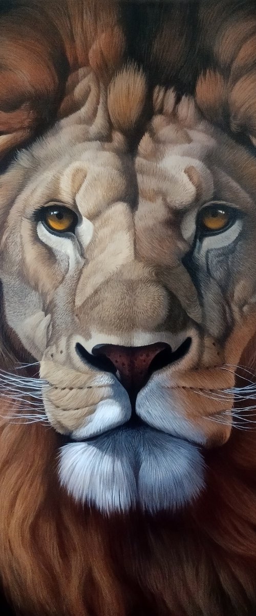 Lion portrait by Tamar Nazaryan