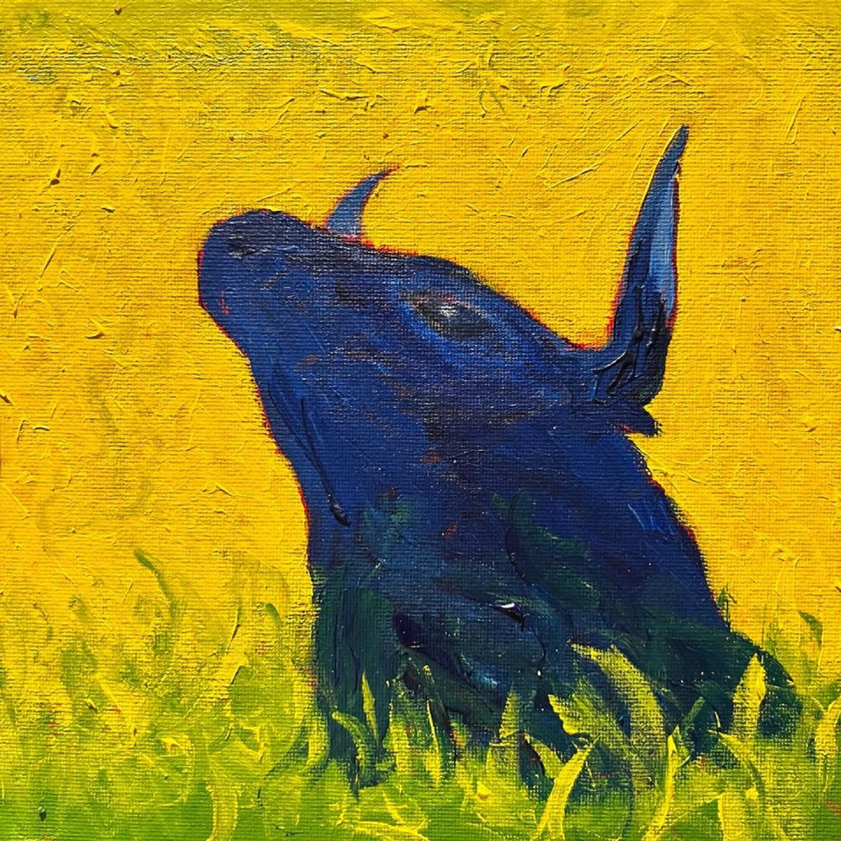 Expressive Animal Acrylic Painting By Shabs Beigh, 12 X 12", Rut Shout, Original Artwork