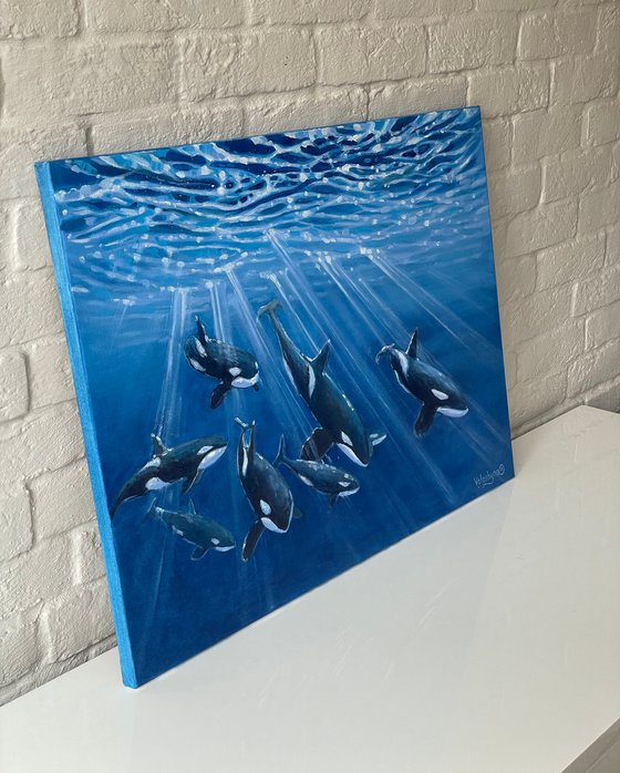 The flock of killer whales. Original oil painting