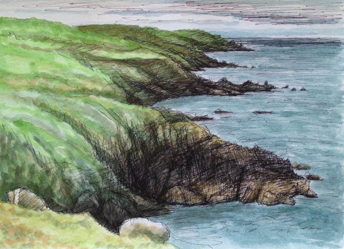 Cloggi Coastal Path, St Ives, Cornwall by David Lloyd