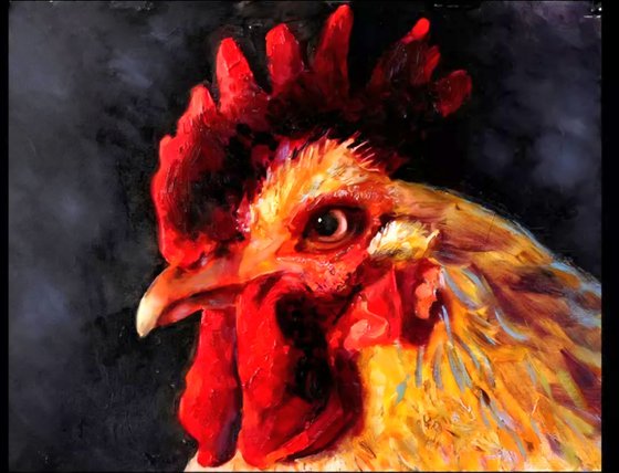 Red Cock