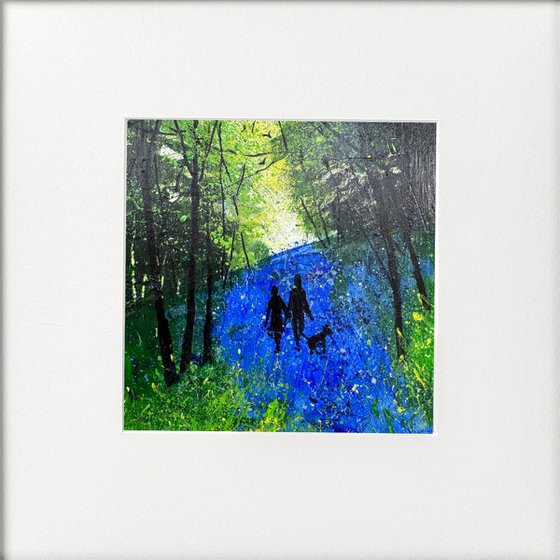 Our Bluebell walk