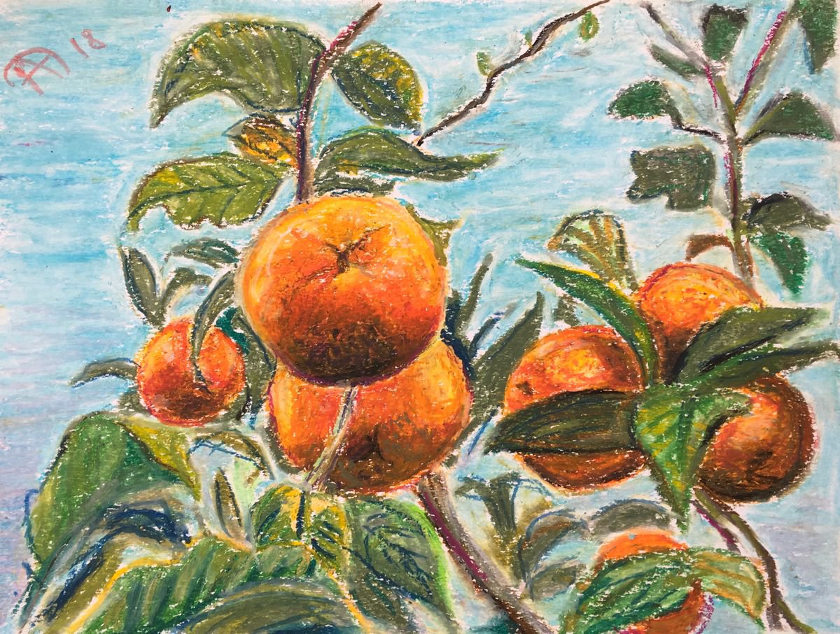 Oranges by Agnes Daniels