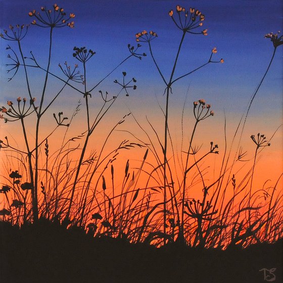 Sunset Dreams
