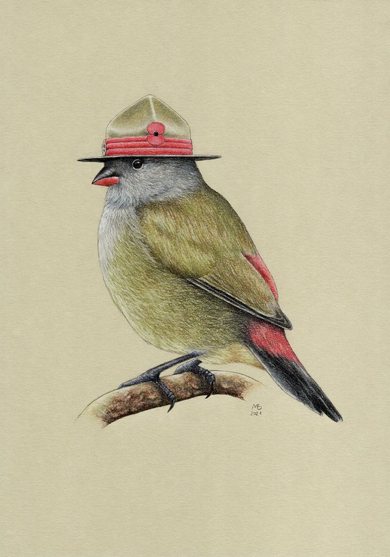 Original pastel drawing bird "Yellow-bellied Waxbill"