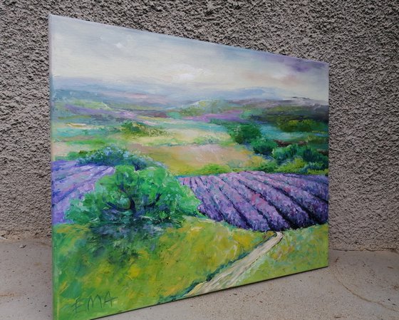 LAVENDER VALLEY #2