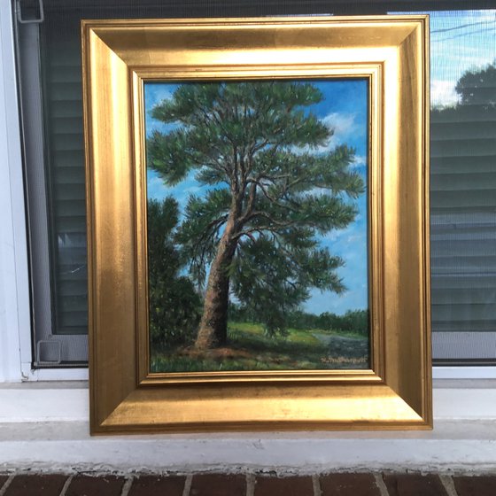 The OLD RUGGED PINE -SOLD