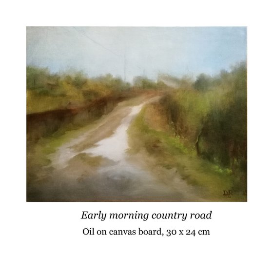 Early morning country road