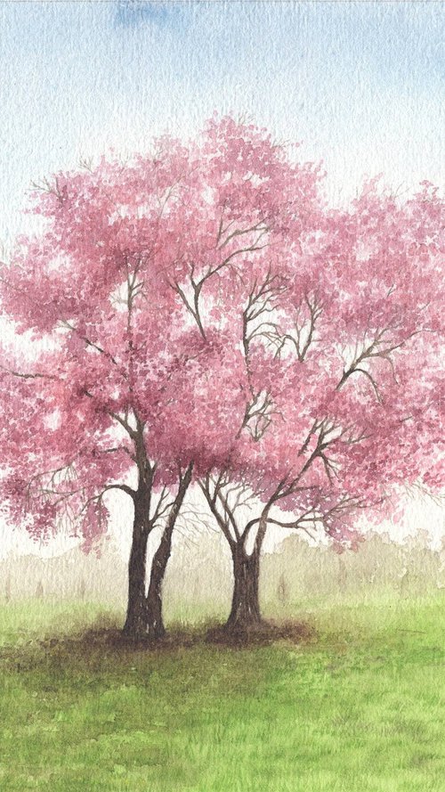 Cherry Blossom Trees by Shweta  Mahajan