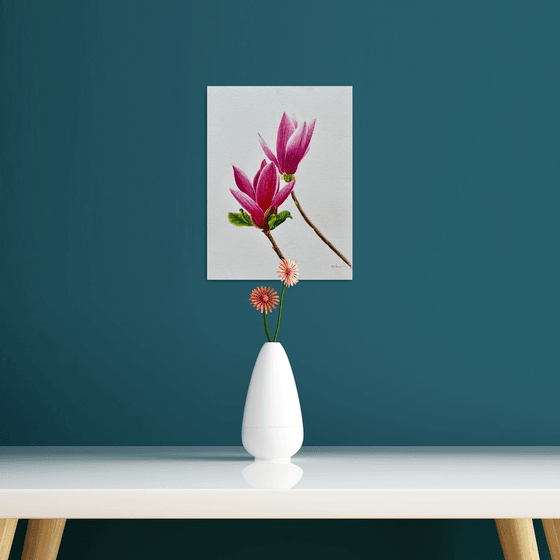 Magnolia (ii)