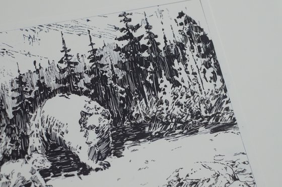 Imagining Bears
