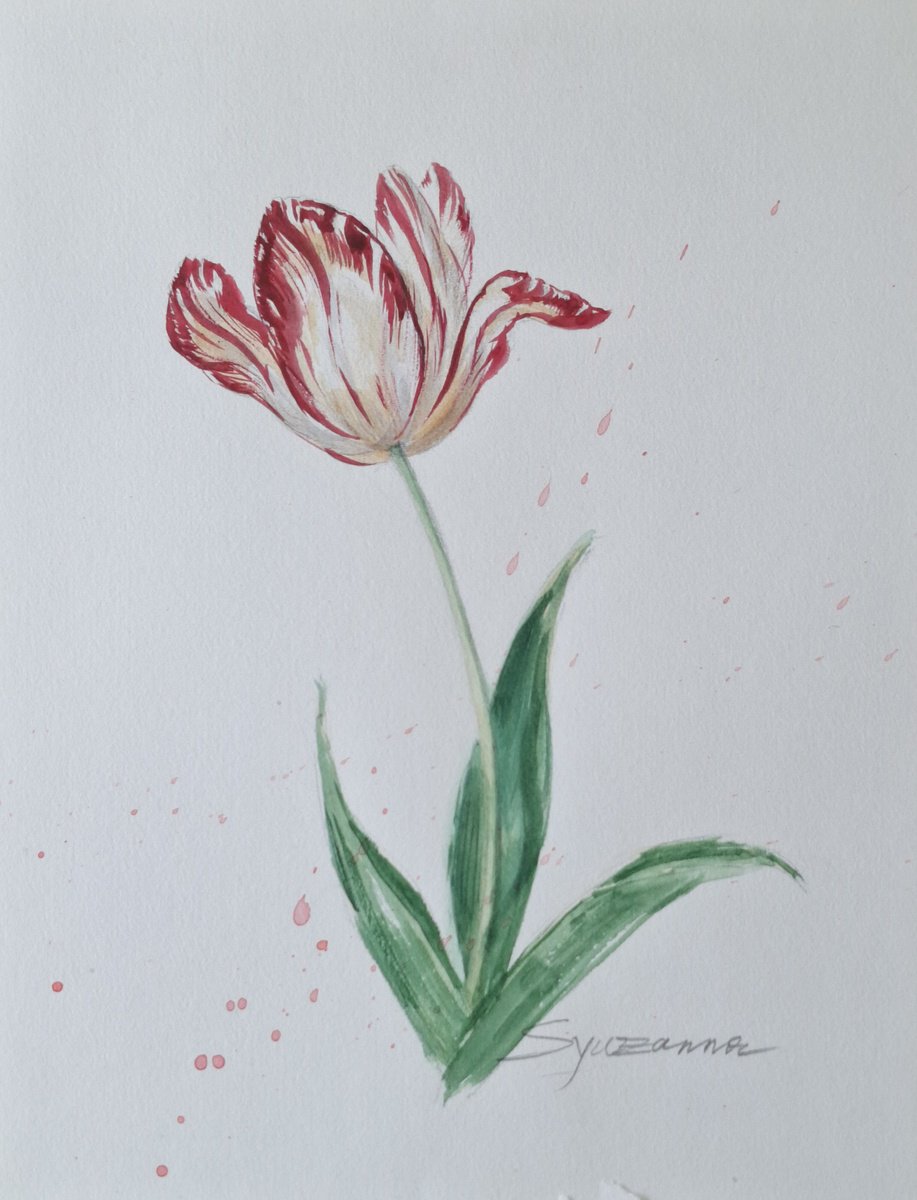 Impressionistic Watercolour , Tulip By Syuzanna Tarverdyan, 7 X 9, Artwork For Sale On Artfinder