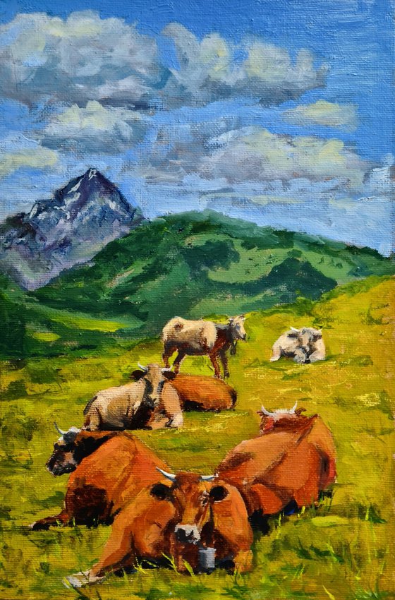 Cows in mountain pasture