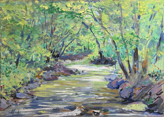Stream in the forest, Tuscany