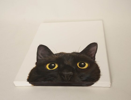 "Curious Eyes | Black Cat Hyperrealism"
