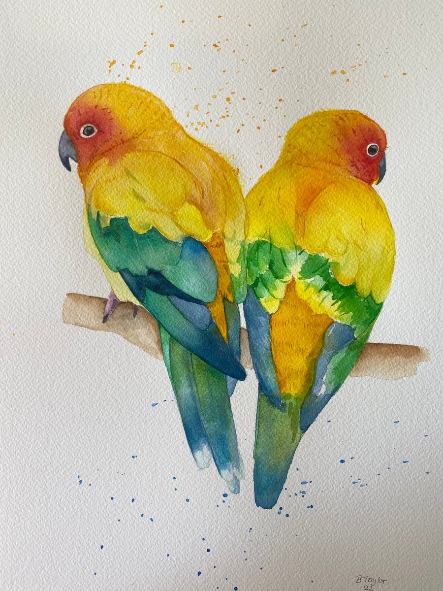 Sun conures no.3 watercolour painting by Bethany Taylor