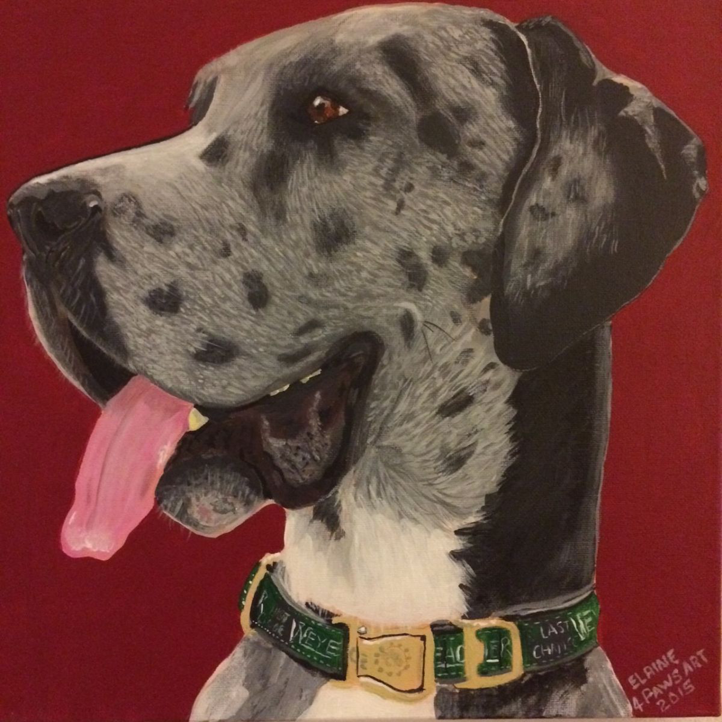 Great Dane Blue Merle By Elaine Askew Artfinder
