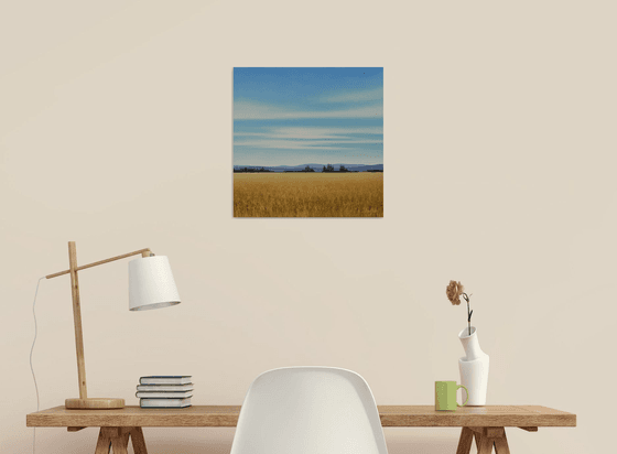 Gold Wheat - Blue Sky Landscape