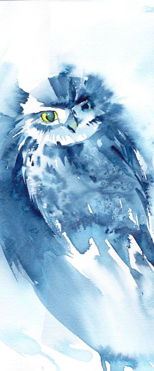 Owl by Anjana Cawdell