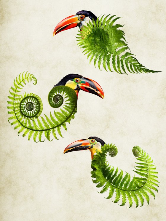 Botanical Toucans