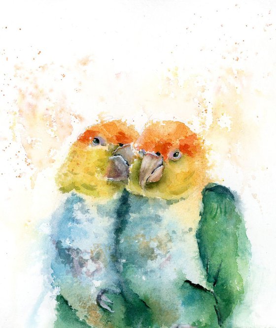 Tenderness (birds)