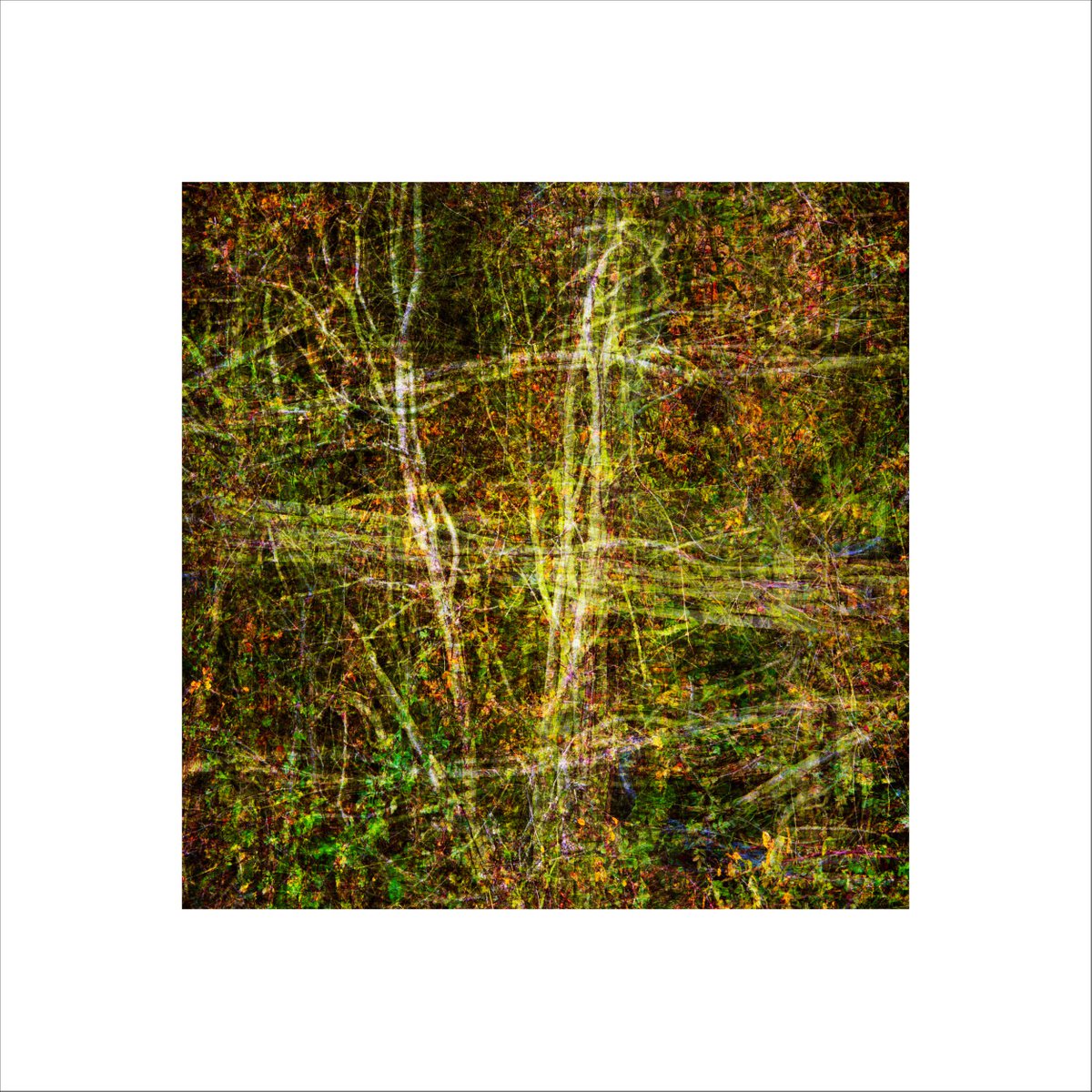 Abstract Landscape Photograph By Paul Harrison, 30 X 30", Signs #28, Original Artwork