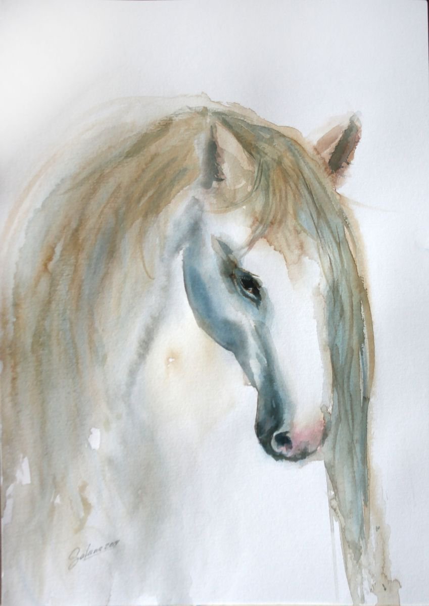 Impressionistic Watercolour , Horse Viii By Salana Art / Svetlana Samovarova, 12 X 16, Artwork For Sale On Artfinder