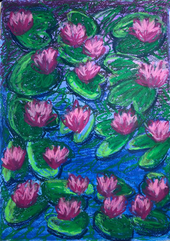 Water Lilies