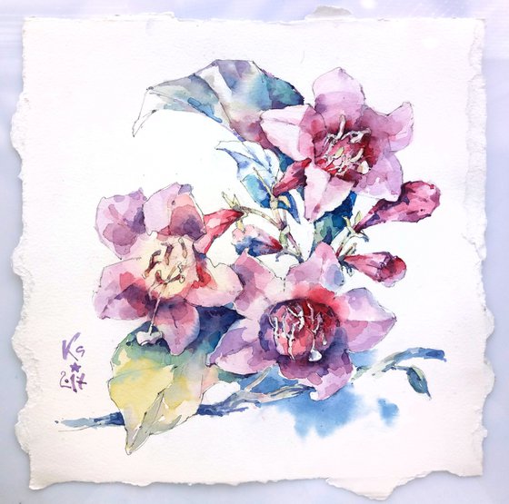 Decorative composition "Pink weigela flowers with leaves" - original watercolor work in square format