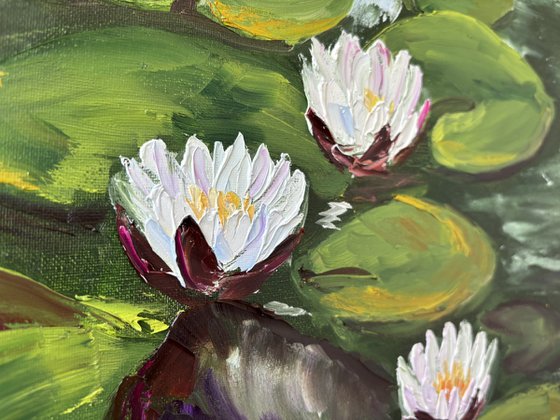Serenity of Water Lilies