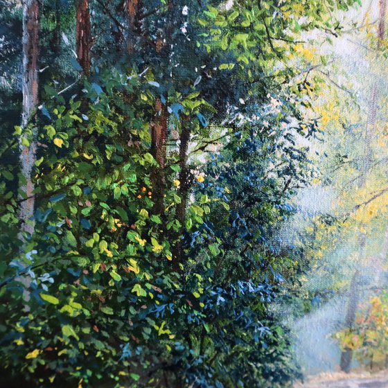 Summer Forest