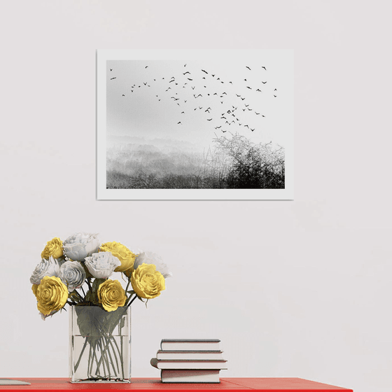 Midwinter #6 Limited Edition #1/25 Fine Art Photograph of Bare Winter Trees and Birds Flying