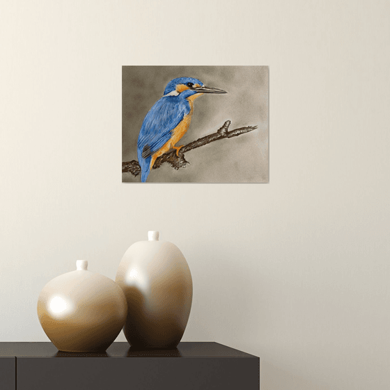 Kingfisher