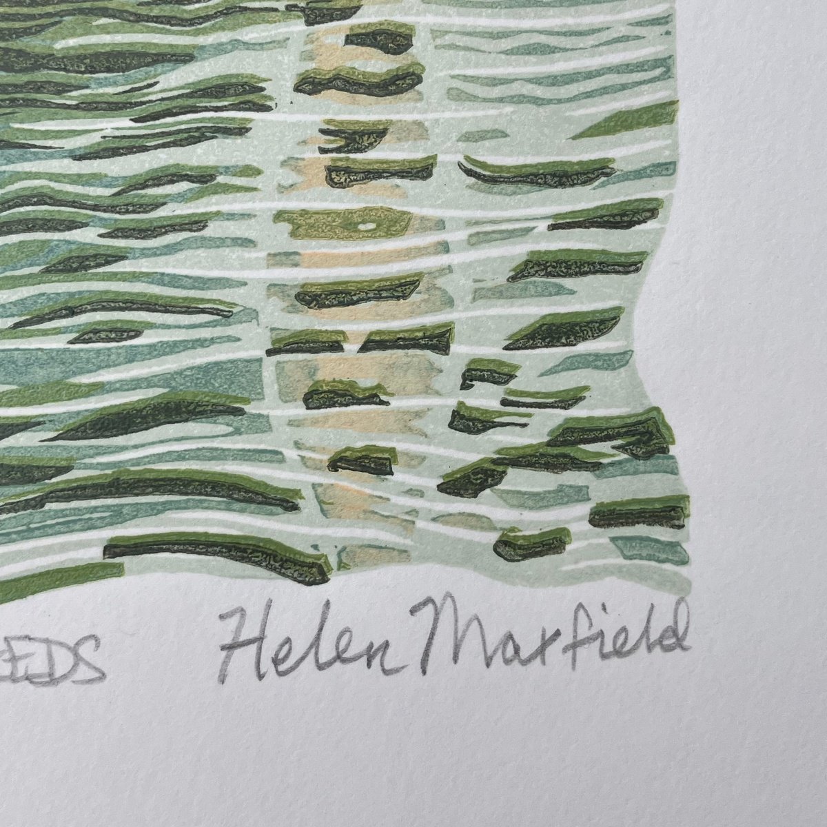 Impressionistic Animal Linocut By Helen Maxfield, 7 X 7, Bittern In The Reeds, Original Artwork