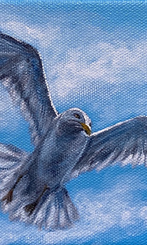 Seagull in the sky by Olga Kurbanova