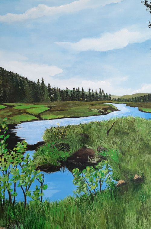 Green Wilderness by Anne Shaughnessy