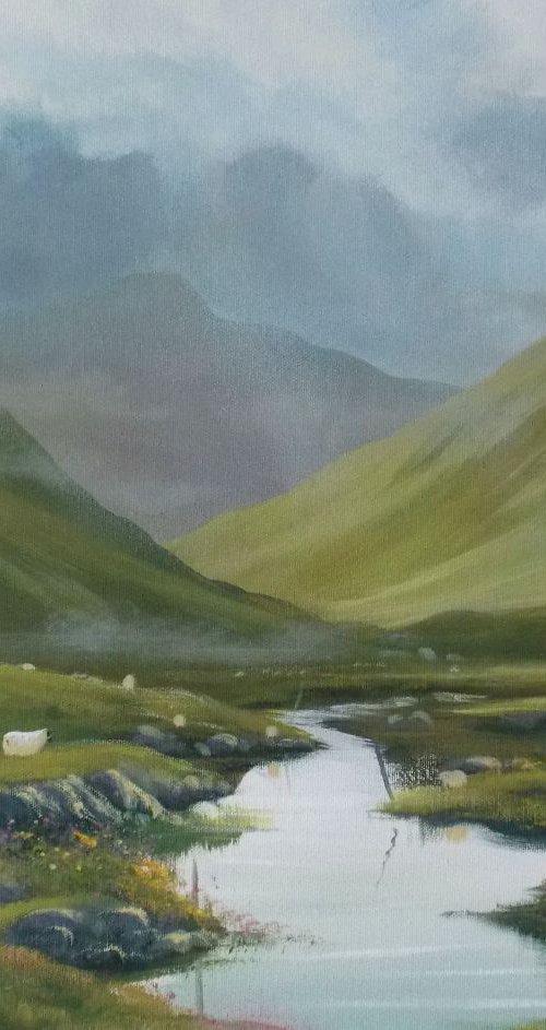 valley sheep,connemara by cathal o malley